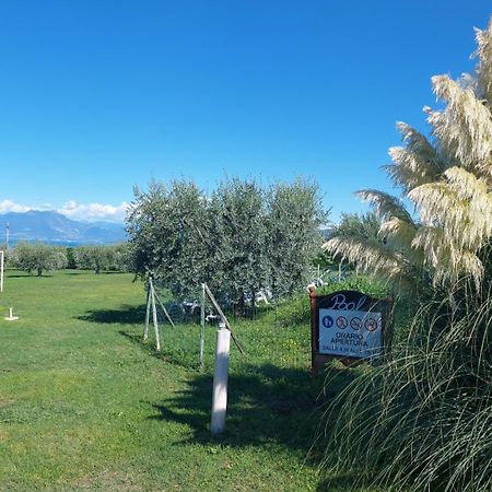 Agriturismo Al-Bor Лацизе Екстер'єр фото